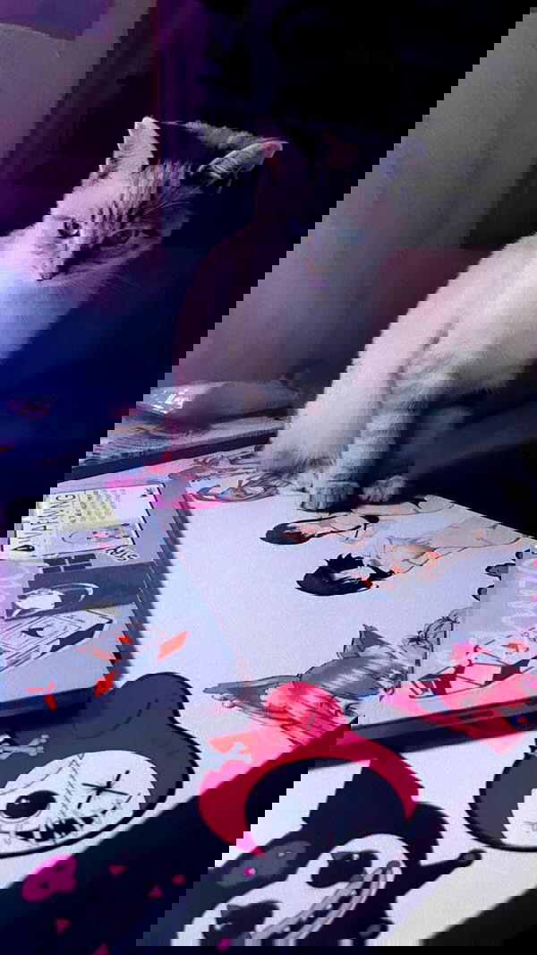 suikomuu suikomuu archive image