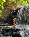 rouxroux.tv Altpins Profile Picture