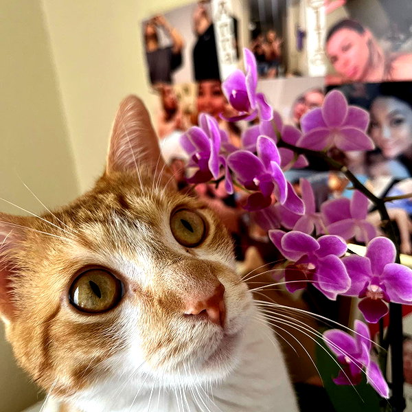 ohheyanastasia instagram image archive image