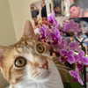 ohheyanastasia Altpins Profile Picture