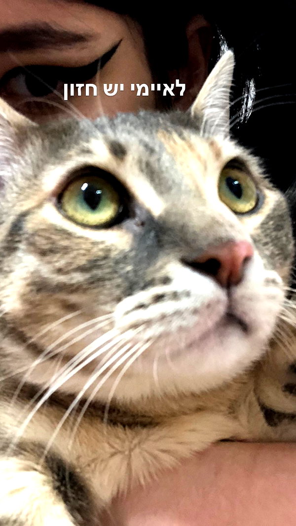 Archived image from @notchicore on Instagram