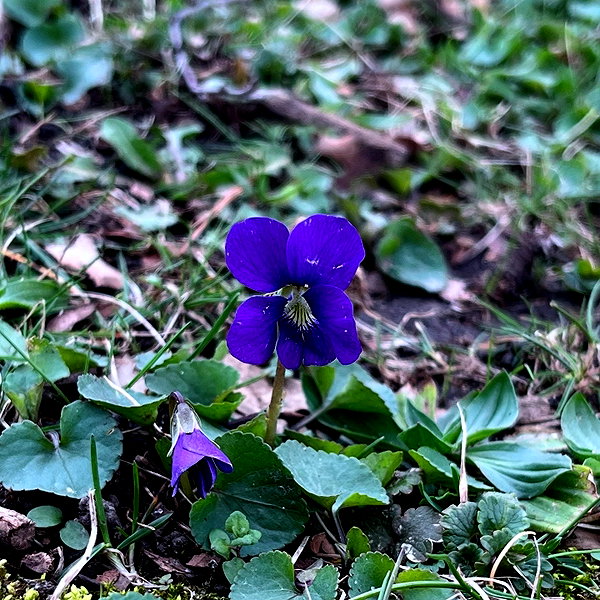 chanakateri instagram image archive image