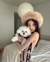 ll.lu1s Altpins Profile Picture
