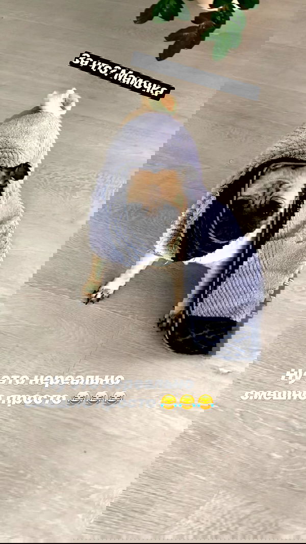 nyityam nyityam archive image