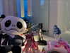 fallen.angel2007 Altpins Profile Picture