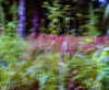 bugz4brainz Altpins Profile Picture