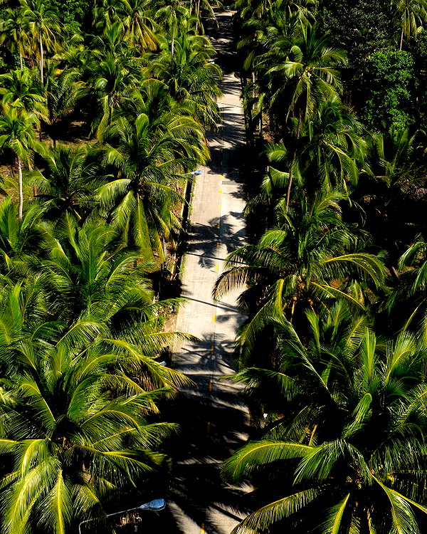 tirtza_cohen instagram image archive image