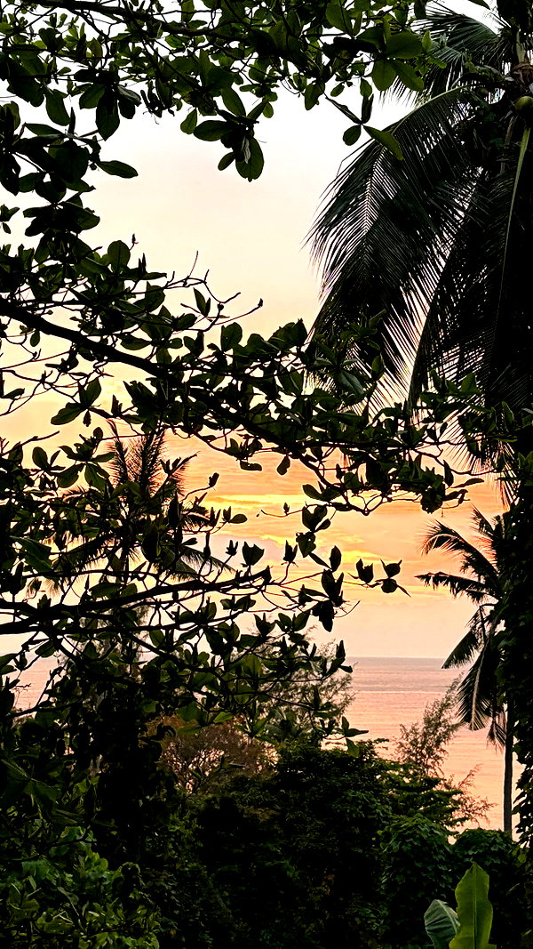 shirakor_ shirakor_ archive image