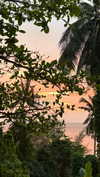 shirakor_ Altpins Profile Picture