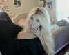 ange1icuh Altpins Profile Picture
