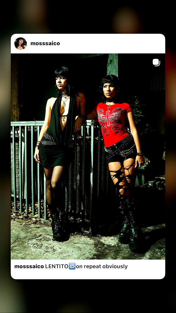 mosssaico instagram image archive image