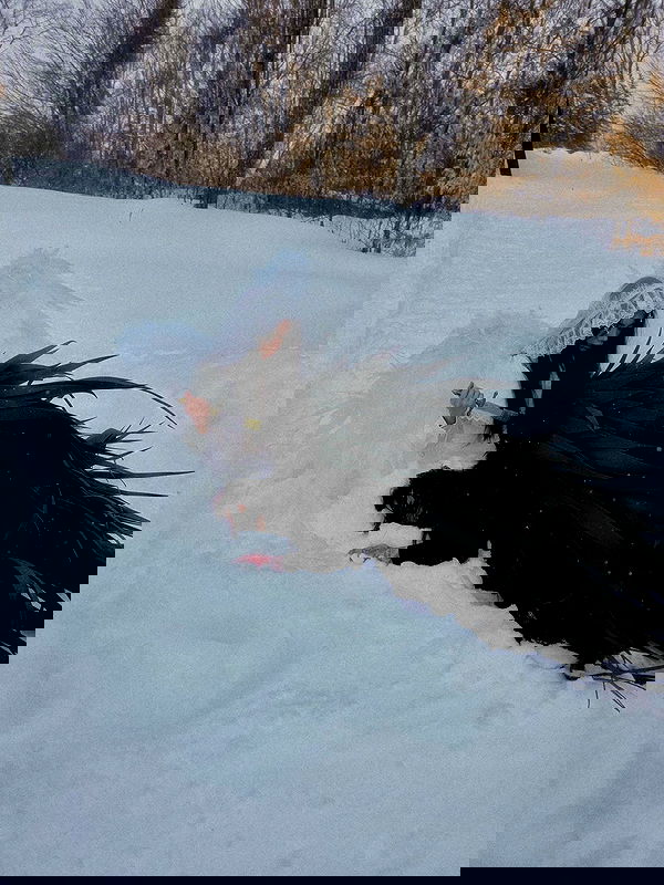 laurinchhhe laurinchhhe archive image