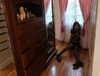 leonanaomii Altpins Profile Picture