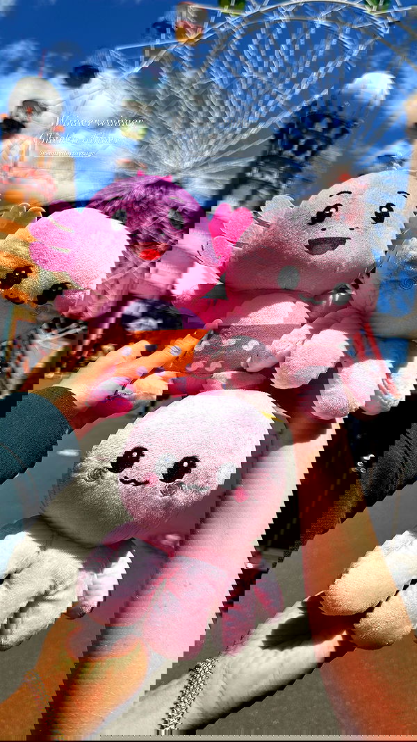 taylor.creeden taylor.creeden archive image