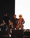 xtina Altpins Profile Picture