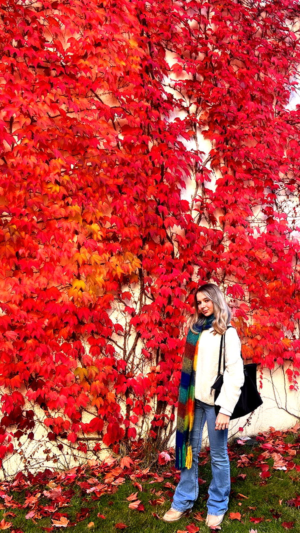 lihi.k_ instagram image archive image