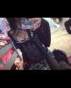 twodollie Altpins Profile Picture