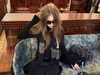 llinolinaa Altpins Profile Picture