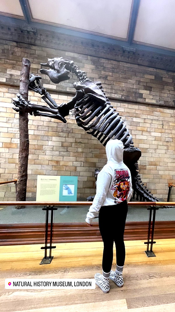 kesemgreenyer instagram image archive image
