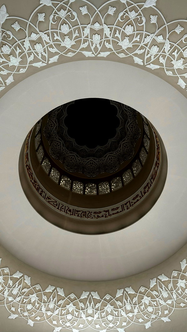 vvelum_ archive image