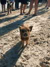 megann_eliizabeth Altpins Profile Picture