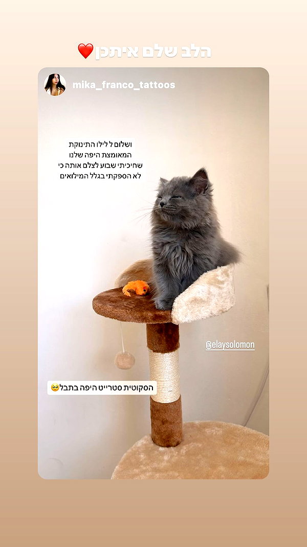 Archived image from @elaysolomon on Instagram