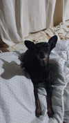 josefinaaa_f Altpins Profile Picture