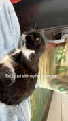 olivia.bolgerr Altpins Profile Picture