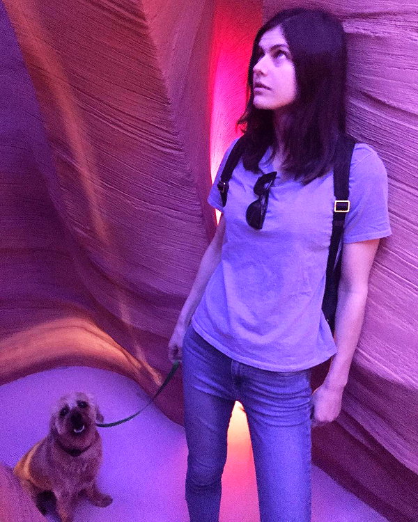 alexandradaddario instagram image archive image