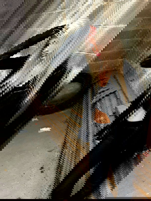 rchhhll rchhhll archive image