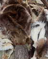 crocodile.notes Altpins Profile Picture