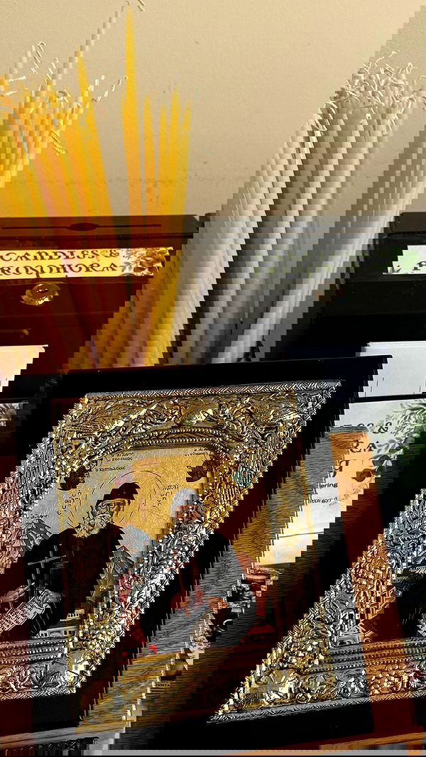 zommmbri zommmbri archive image