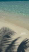 biancanataliie Altpins Profile Picture