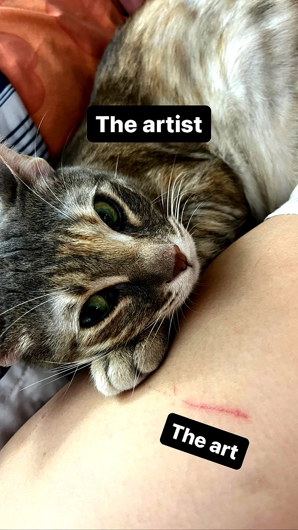 Archived image from @notchicore on Instagram