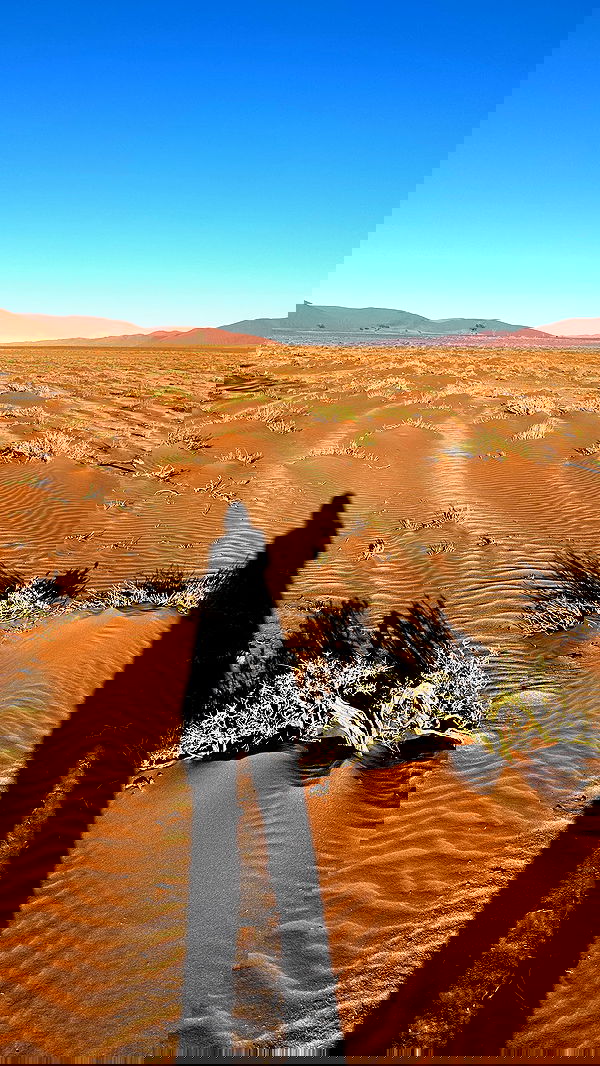 taylor.creeden taylor.creeden archive image