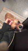 _kybelle Altpins Profile Picture