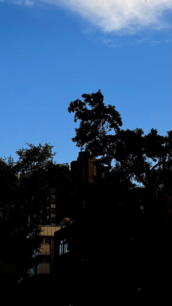 burcumsai burcumsai archive image