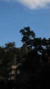 burcumsai Altpins Profile Picture