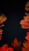 nomagdalina Altpins Profile Picture