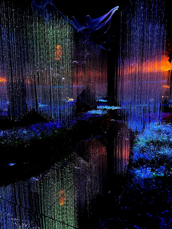 antotkaa archive image