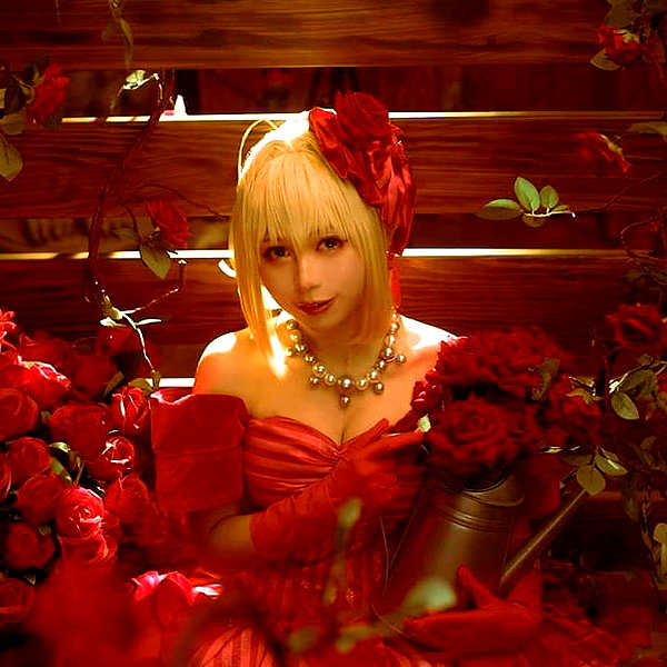 muze instagram image archive image