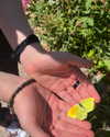 alice_hez Altpins Profile Picture