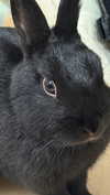 efrat_elmalich Altpins Profile Picture