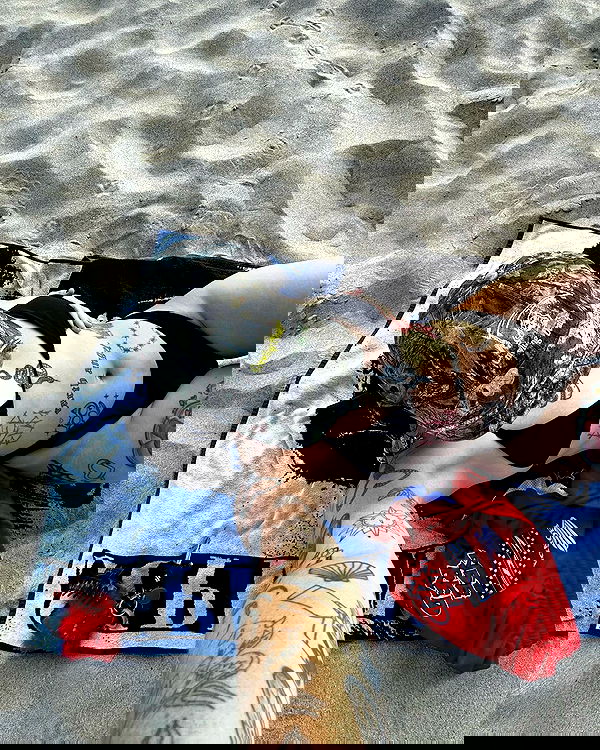 jtilb2 image ~ Altpins