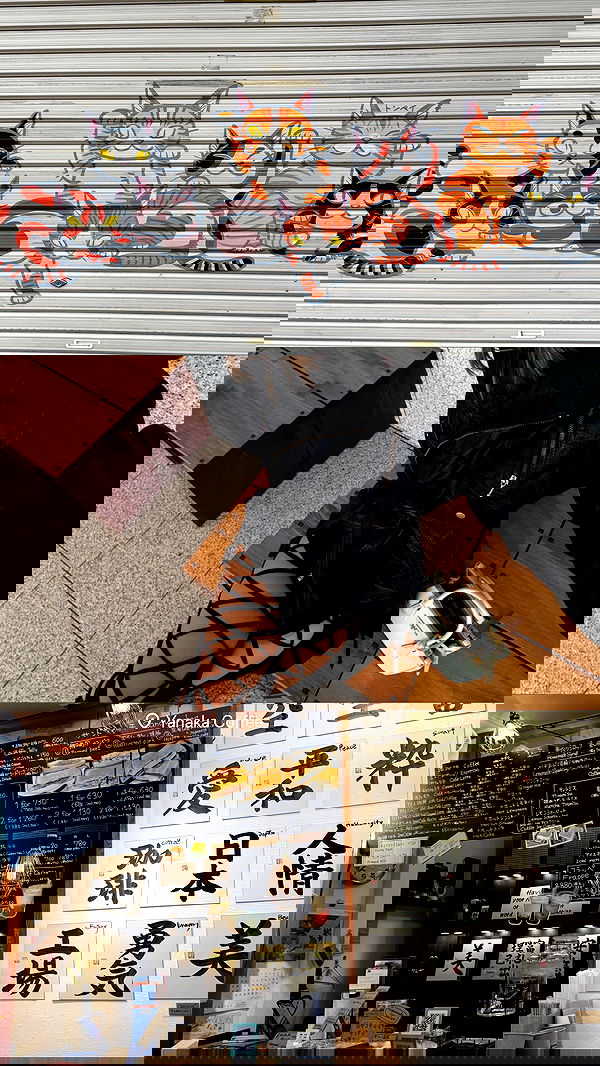 taylor.creeden taylor.creeden archive image