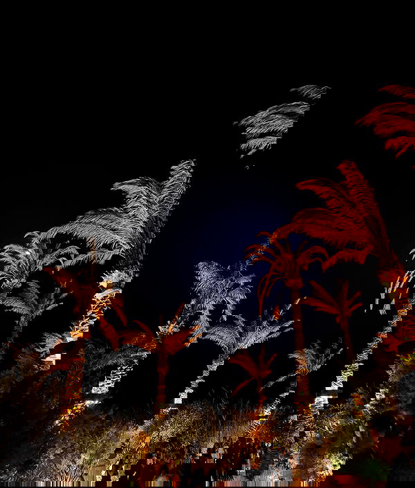 alexis.blond alexis.blond archive image