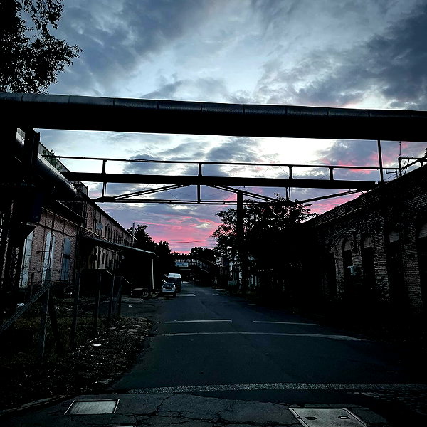 borkwsmh instagram image archive image