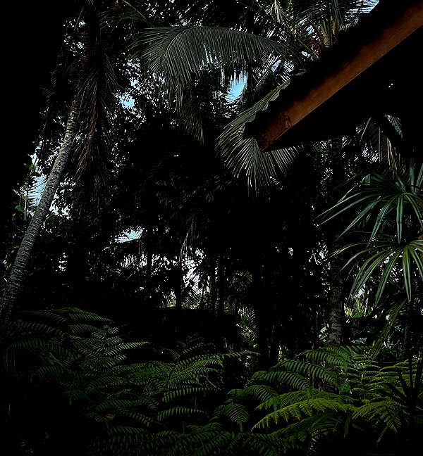 veroni22ka instagram image archive image