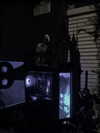 bat.wiings Altpins Profile Picture