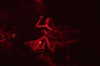 cannonstheband Altpins Profile Picture